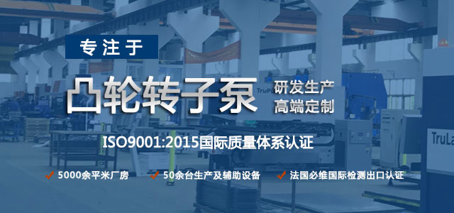 凸輪轉(zhuǎn)子泵生產(chǎn)廠家，專注于凸輪轉(zhuǎn)子泵的研發(fā)生產(chǎn)，高端定制